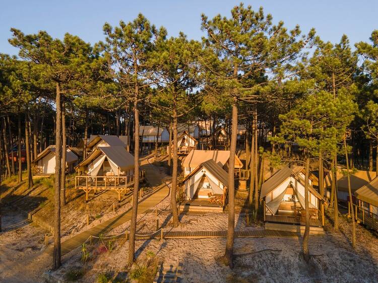 Os melhores parques de campismo para dormir sob as estrelas