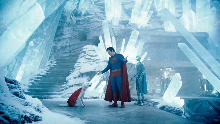 Superdog Look-Alike Contest