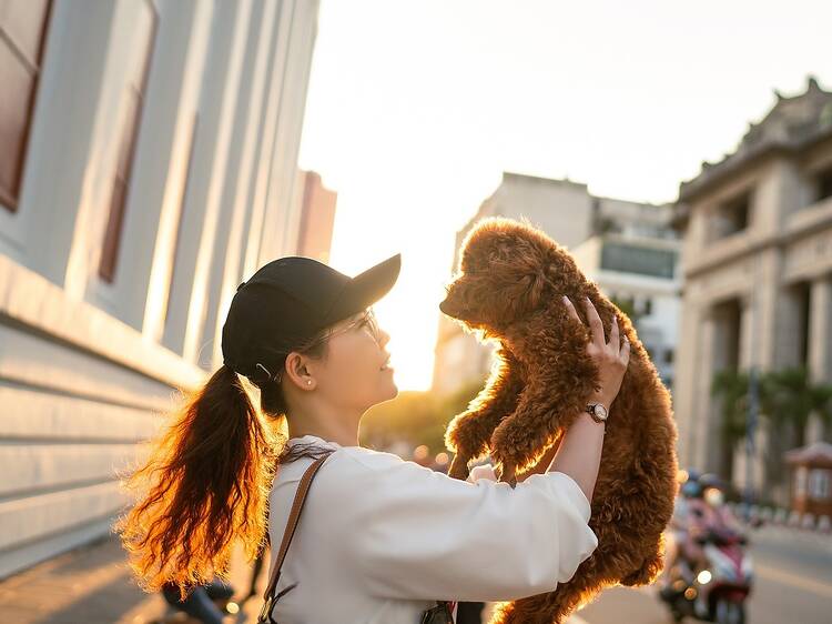 actividades para hacer con tu perro en CDMX