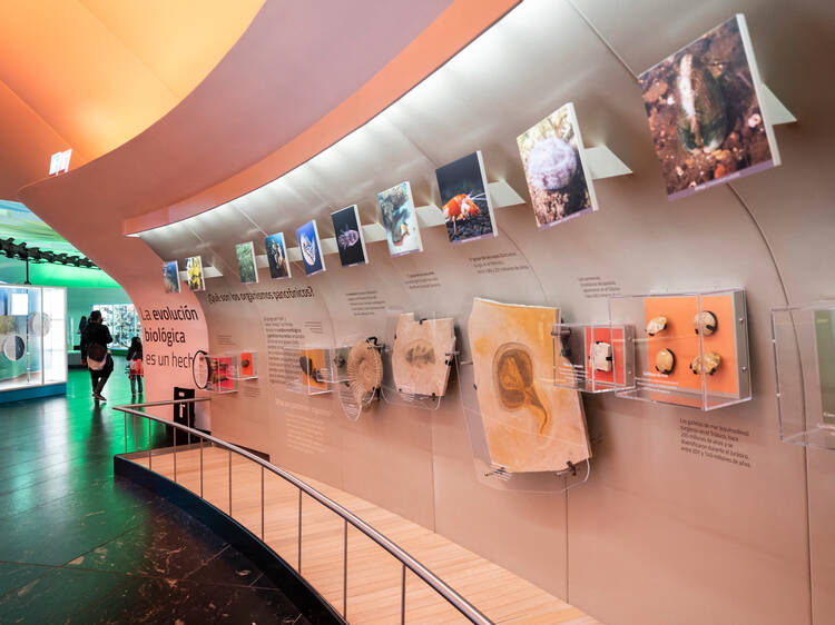 Adiós museos de la UNAM: estos cerraron por vacaciones de verano
