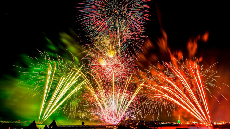 Senshu Dream Fireworks