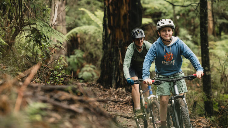 Two people mountain biking in the bush.
