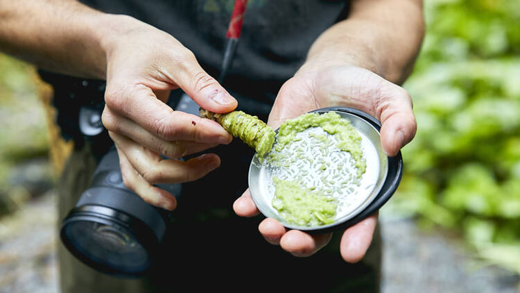 Tokyo Wasabi Experience