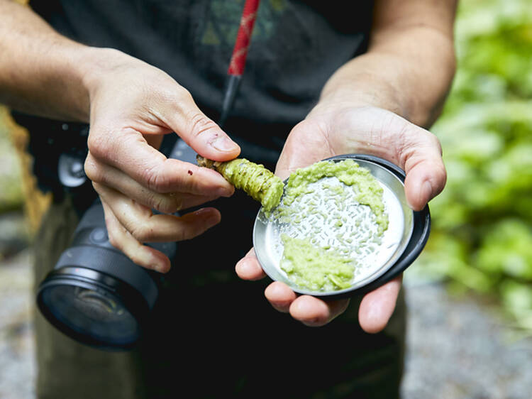 Tokyo Wasabi Experience