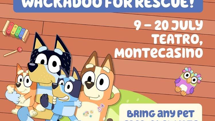 Bluey's Big Play Wackadoo for rescue 