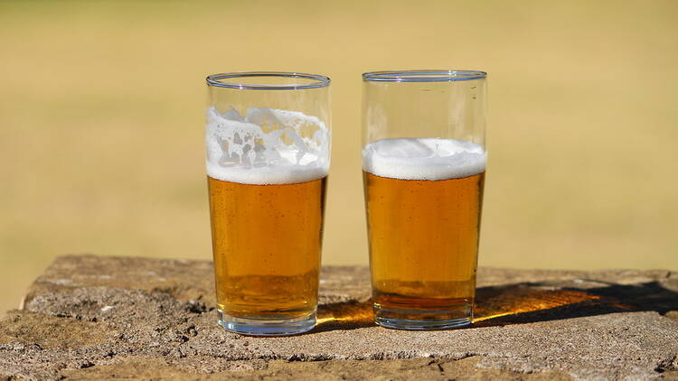 Two pints of lager in the sunshine