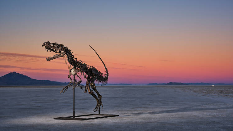sotheby's skeleton