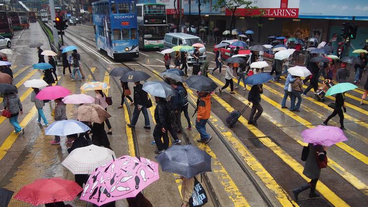 Hong Kong rain