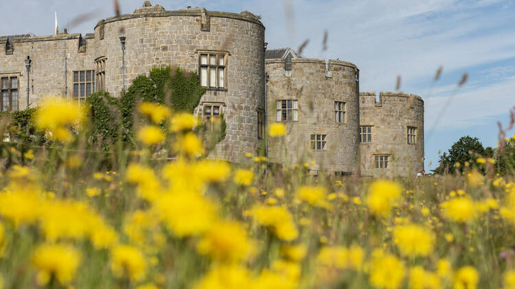 Chirk Castle and Garden