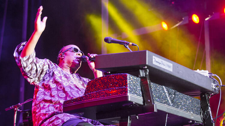 Stevie Wonder performing live
