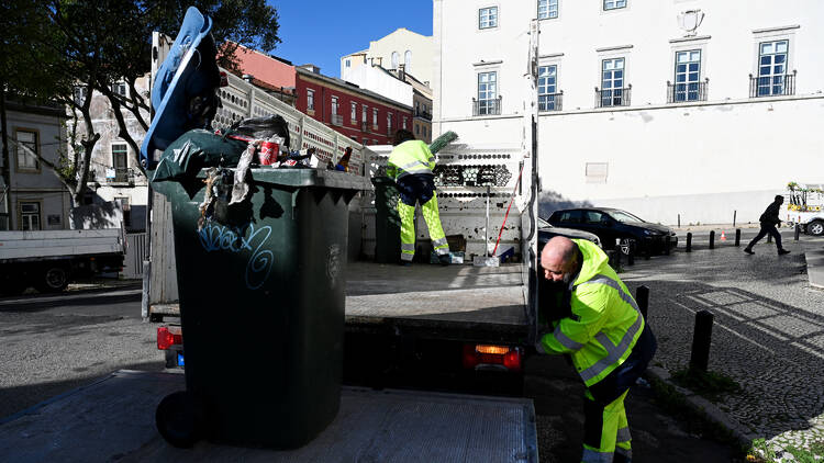 Recolha de monos em Lisboa