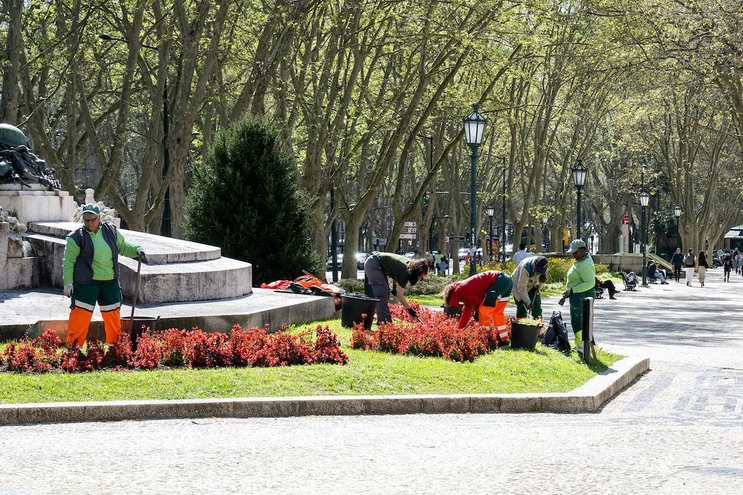 Manutenção dos espaços verdes na Avenida da Liberdade