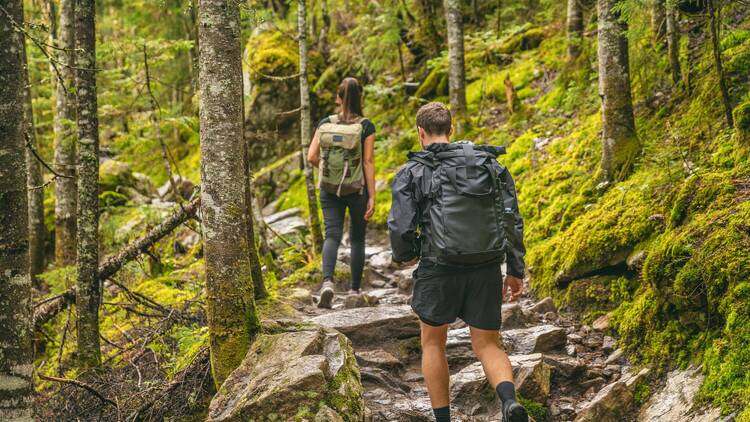 Hiking