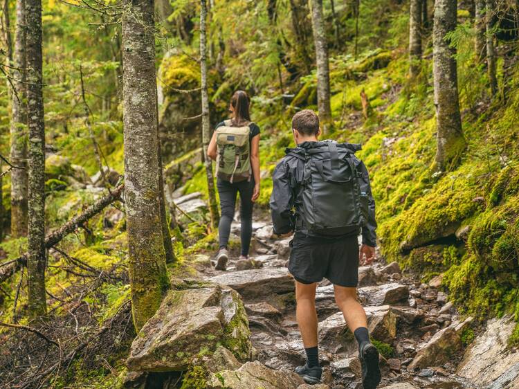 26 of the best hiking and parks in and around Montreal