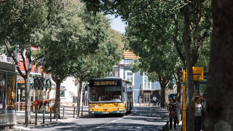 Estrada de Benfica