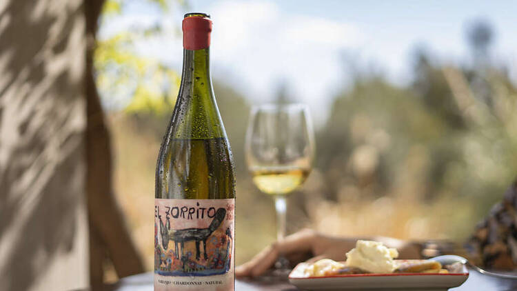 El Zorrito Naranjo - Bodega Santa Julia
