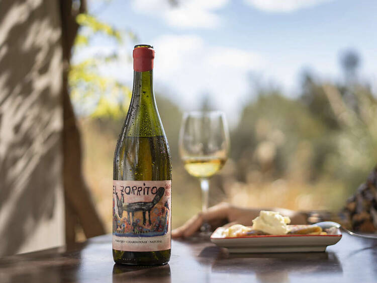 El Zorrito Naranjo - Bodega Santa Julia
