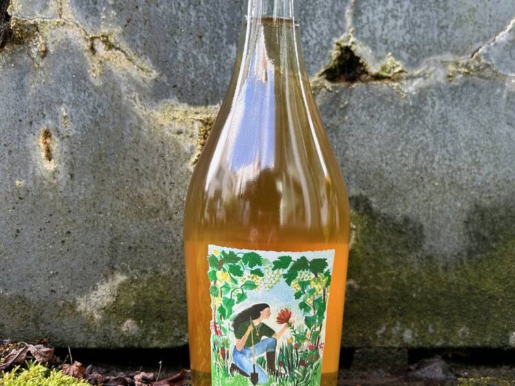Omaggio Pet Nat - Stella Crinita