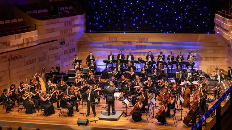 A live orchestra performing
