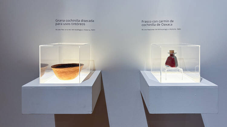 Historia Cultural del Color Museo Nacional de San Carlos 