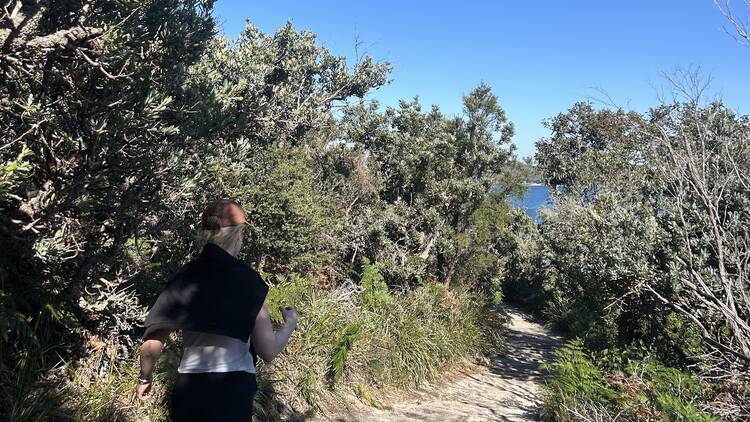 For a coastal hike with historic significance: Henry Head Walking Track, La Perouse
