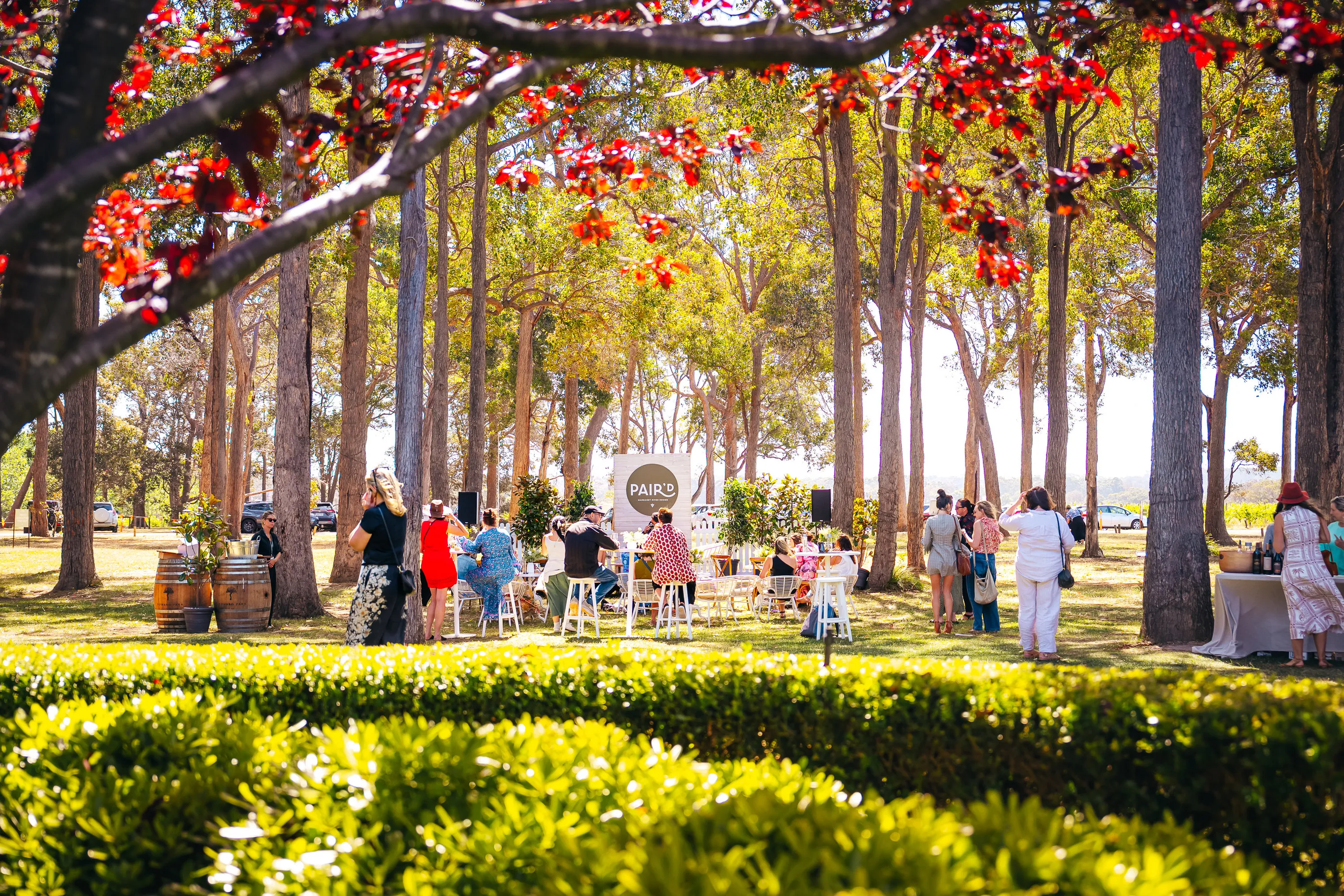 Outdoor garden party