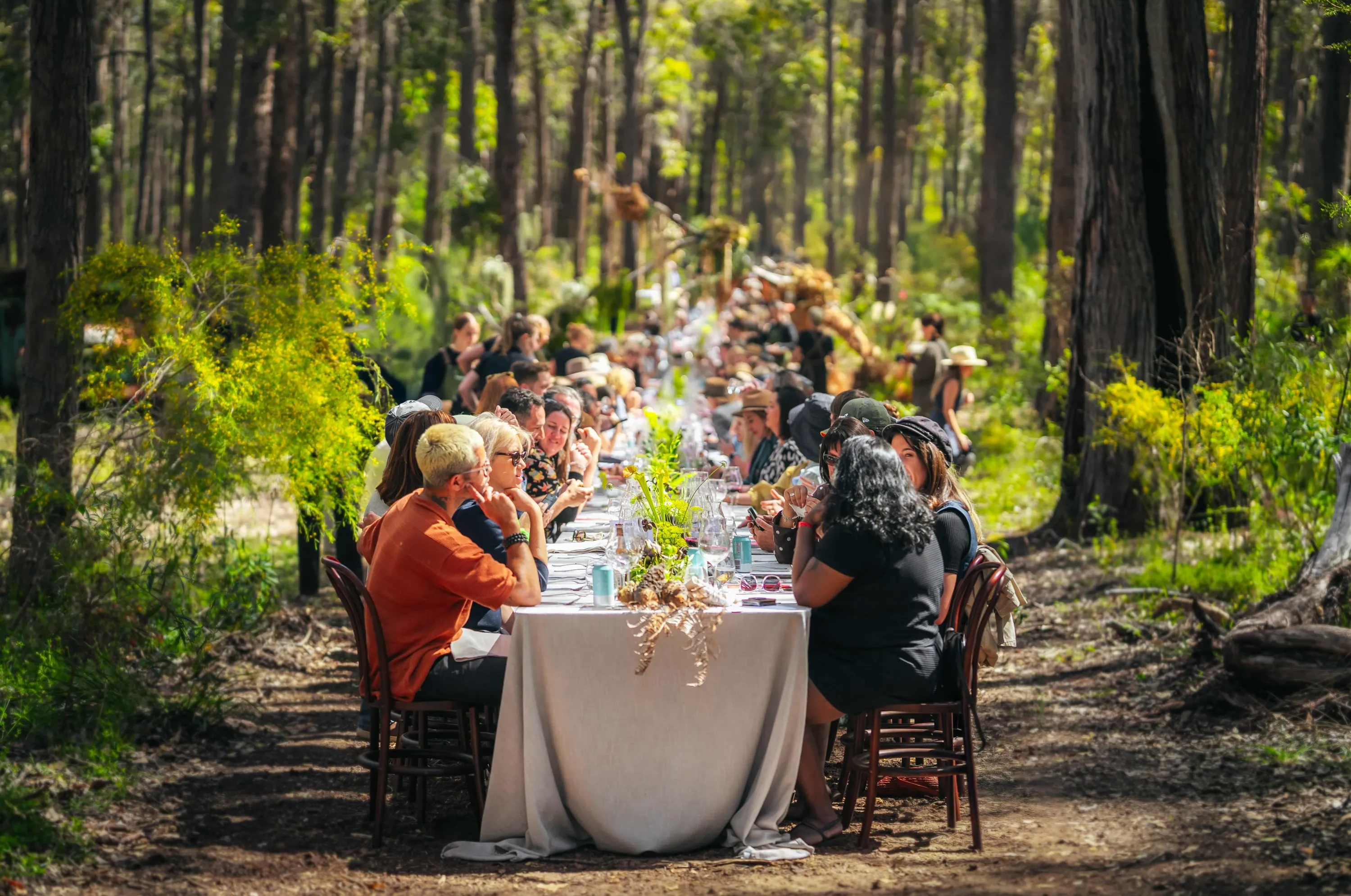 Outdoor long table lunch