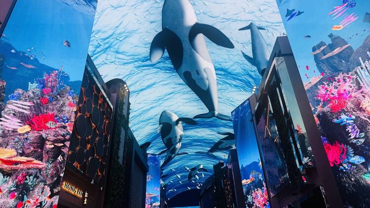 沉浸式數碼光影步道 沉浸式數碼光影步道