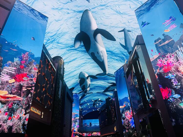 沉浸式數碼光影步道 沉浸式數碼光影步道
