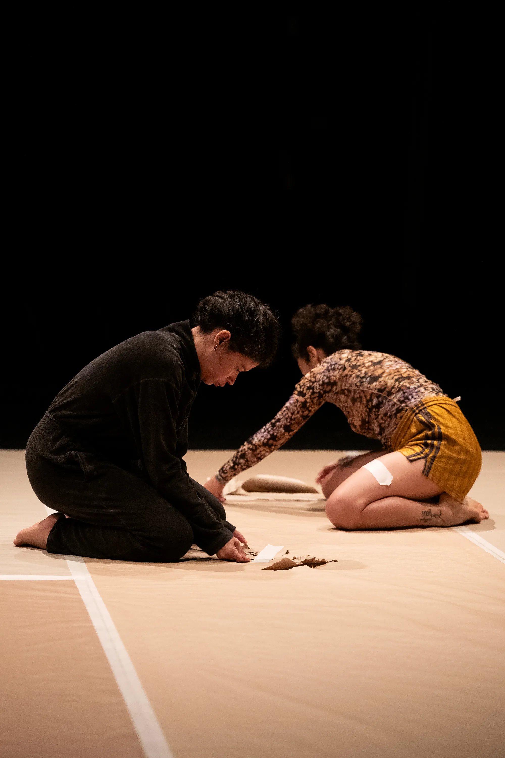 'Violetas', Vânia Doutel Vaz