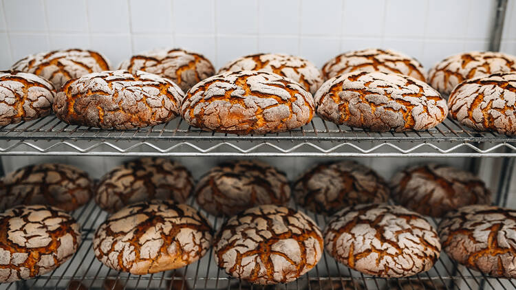 Comer sandes feitas a quatro mãos