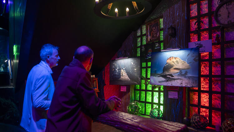 exposición de tiburones en acuario inbursa