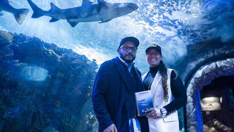 exposición de tiburones en acuario inbursa