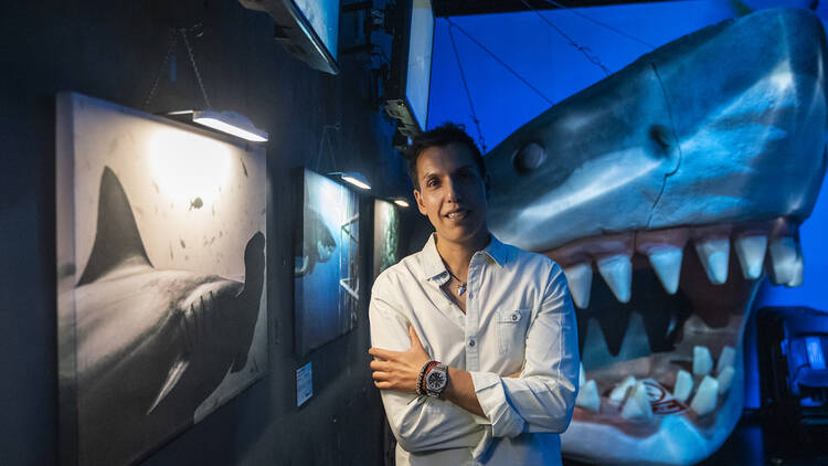 Exposición de tiburones en acuario Inbursa