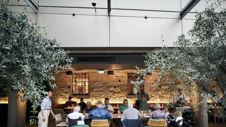 Alfresco restaurant seating with olive trees