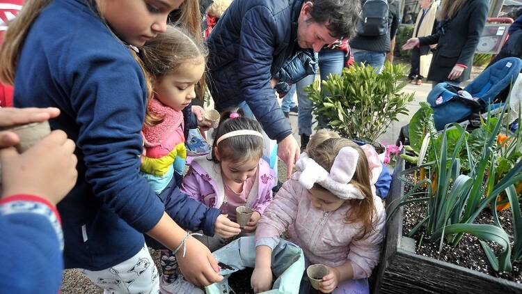 Expo Rural
