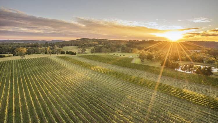 Scenic country views surrounding Centennial Vineyards, Bowral in the Southern Highlands region