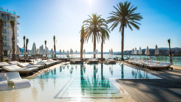 Pool with palm trees and white sun loungers with a view of the sea 
