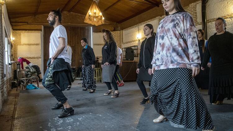 Campamento Flamenco