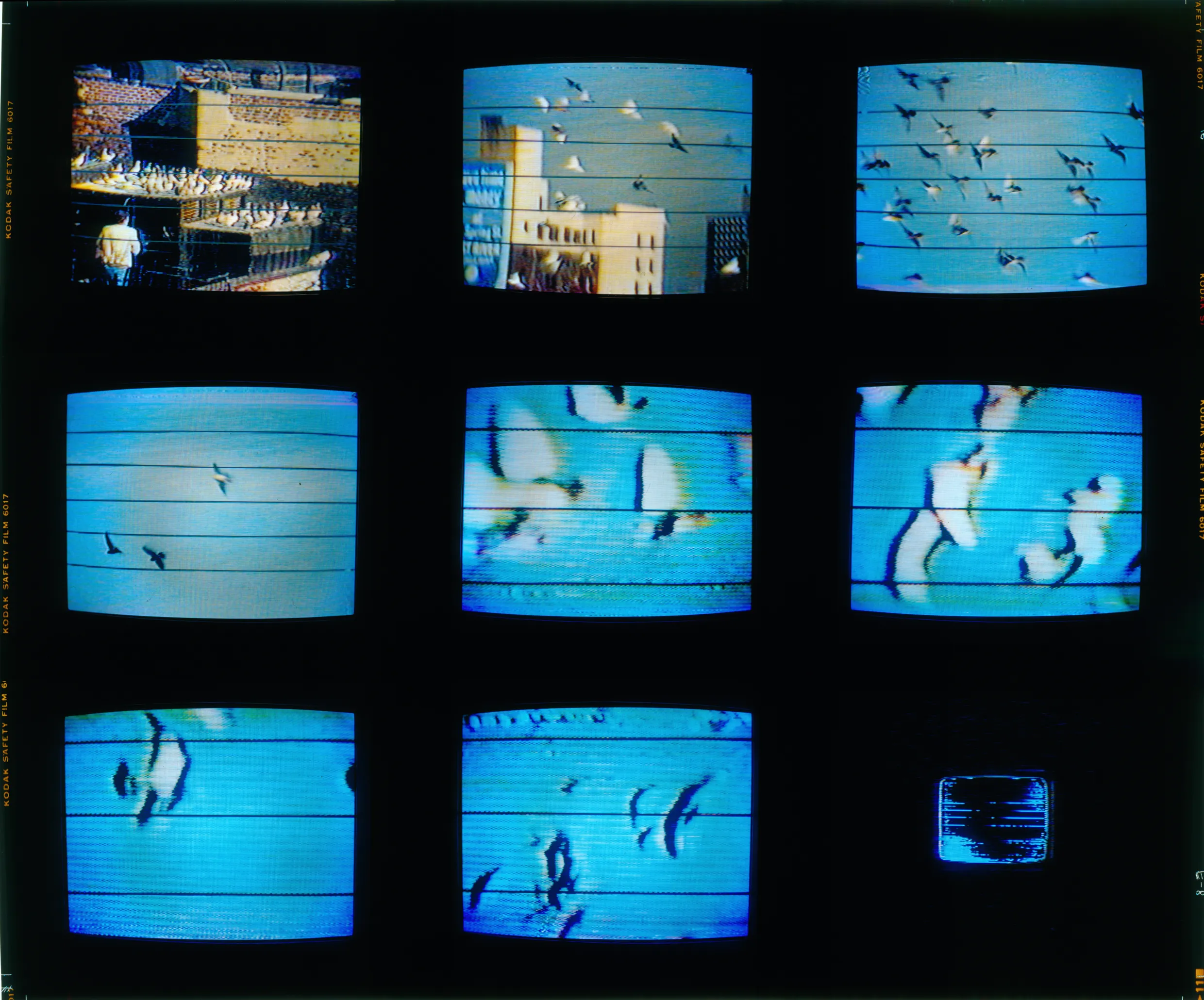 Eugènia Balcells, 'flight', 'DES DEL CENTRE'. Instal·lació multimèdia Museu Nacional d’Art de Catalunya
