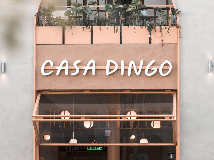 Casa Dingo