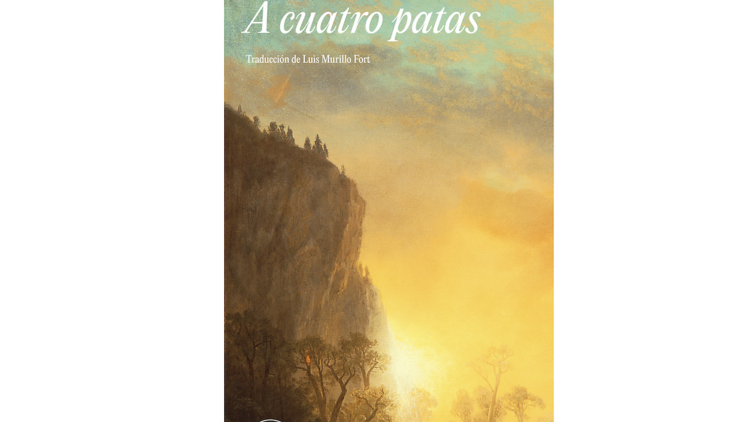 A cuatro patas, Miranda July