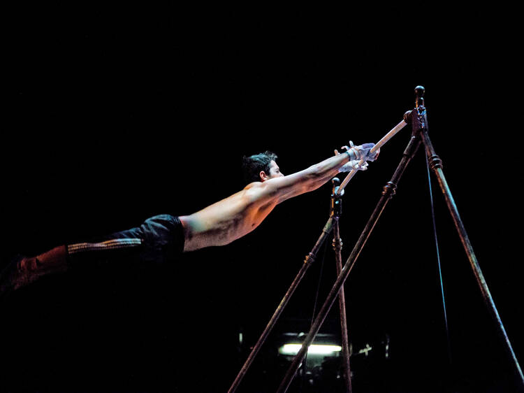 festival de circo gratis cdmx