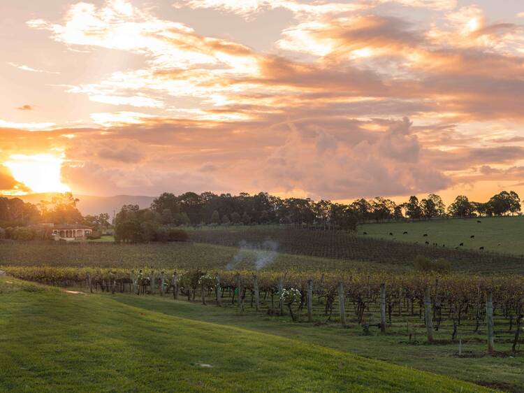 This new sunlit restaurant on an award-winning Hunter Valley estate needs to be on your wine country hit list This new sunlit restaurant on an award-winning Hunter Valley estate needs to be on your wine country hit list