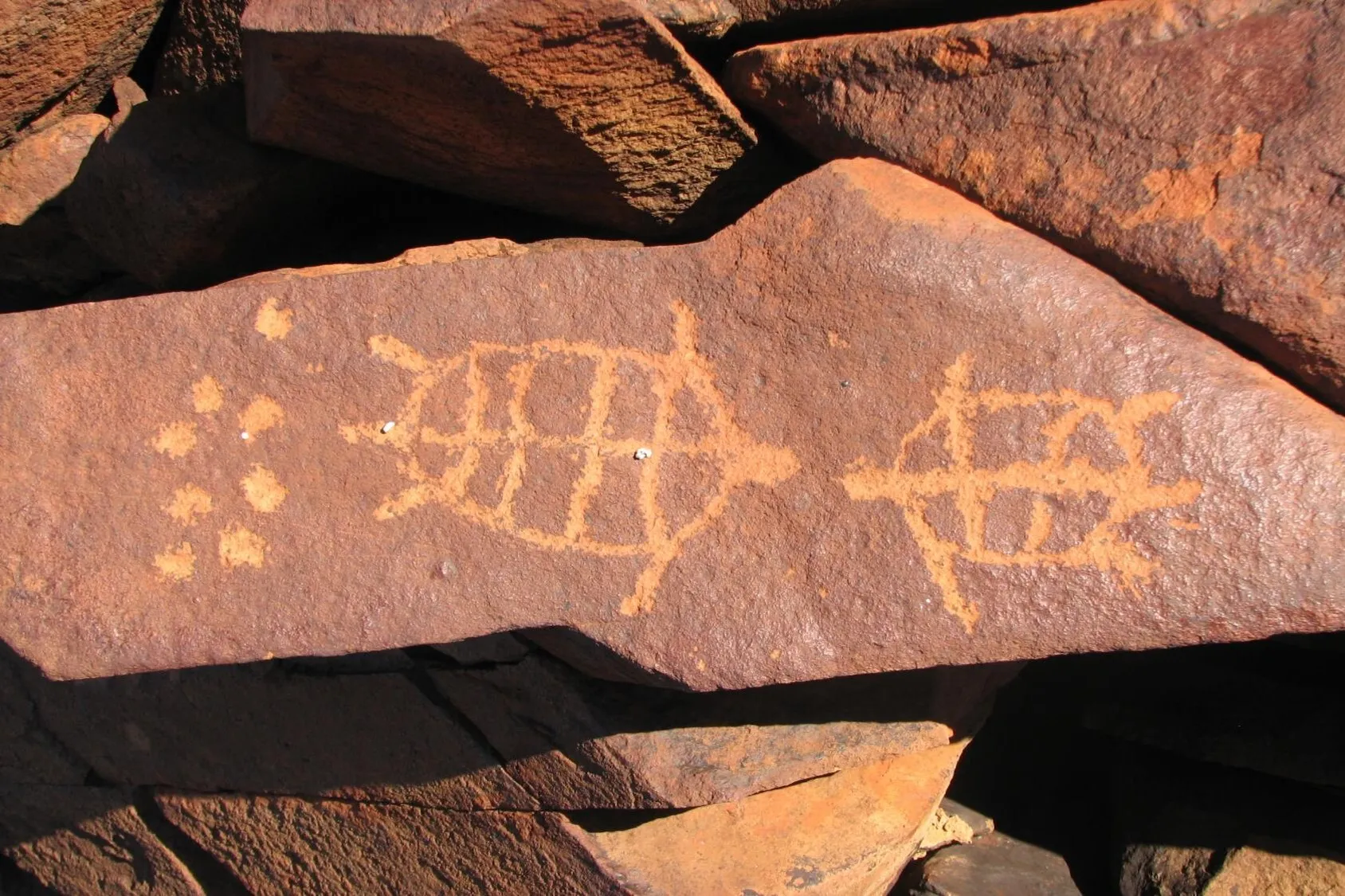 Turtle rock art