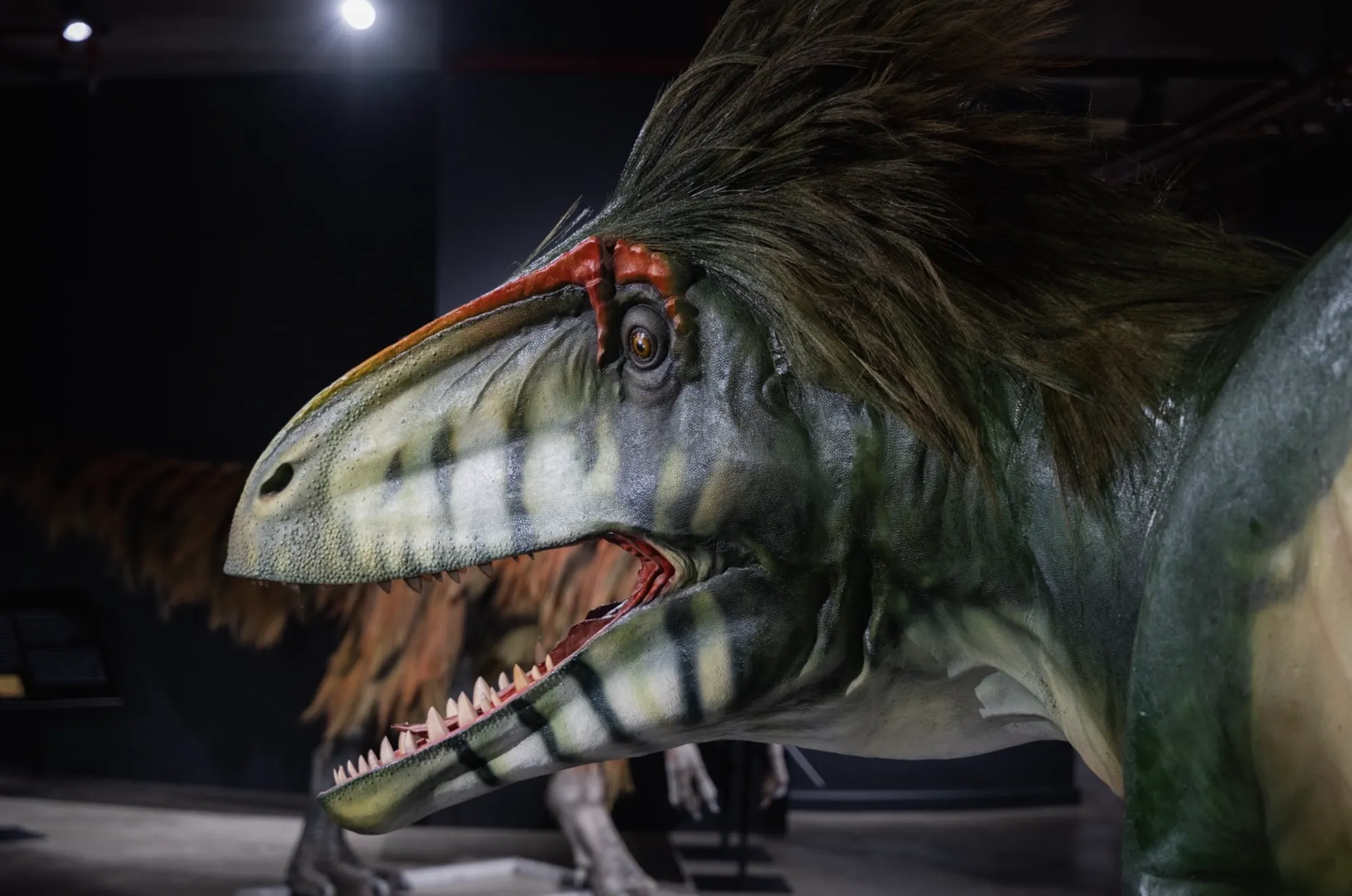 Thainosaurs