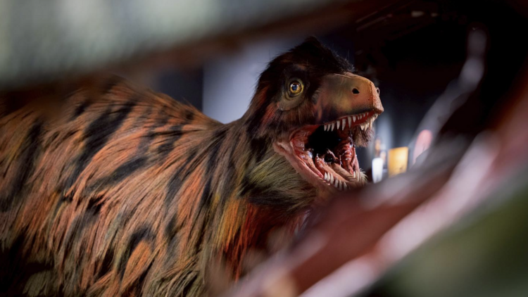 Meet the Thainosaurs: Thailand's lost giants roar again