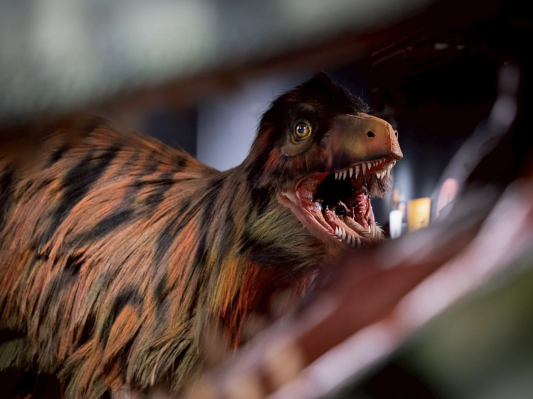 Meet the Thainosaurs: Thailand's lost giants roar again