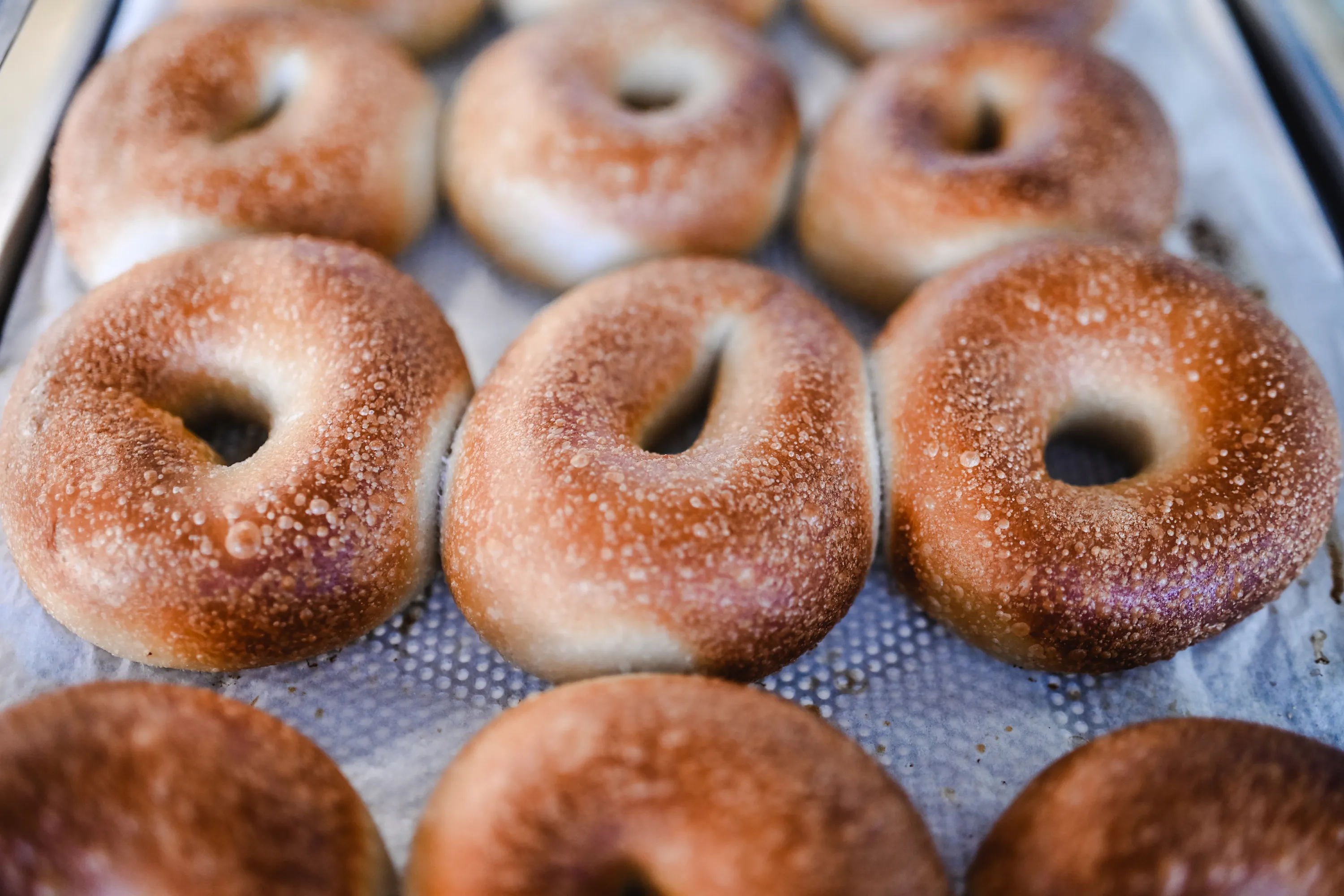 Beco Bagels