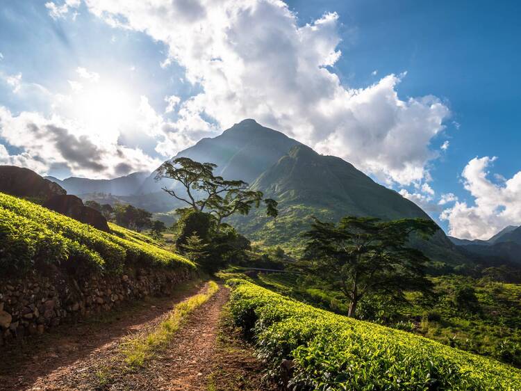UNESCO just announced 26 new World Heritage Sites UNESCO just announced 26 new World Heritage Sites